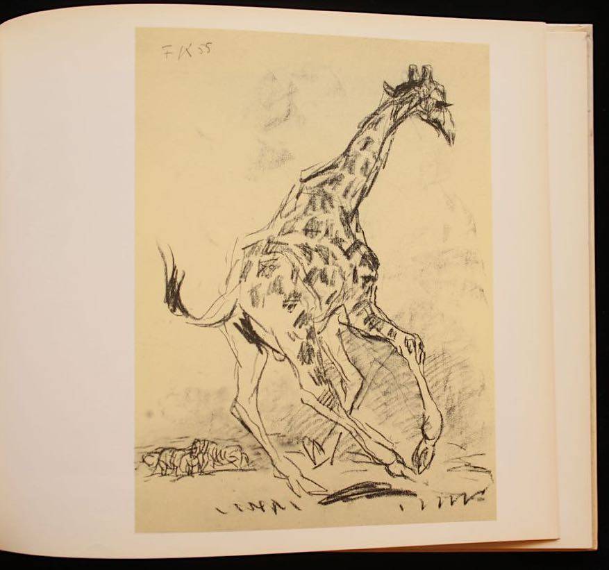 ANIMAL ART OF ETOSHA (1986)