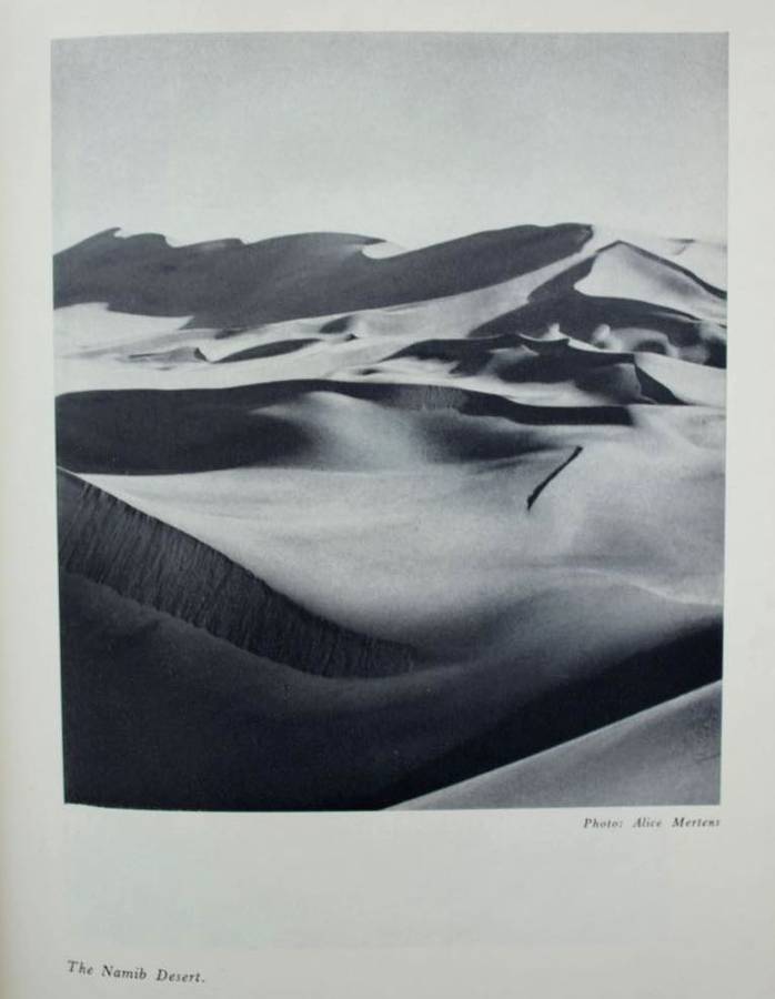 THE SACRED TRUST - SOUTH WEST AFRICA by Alexander Steward