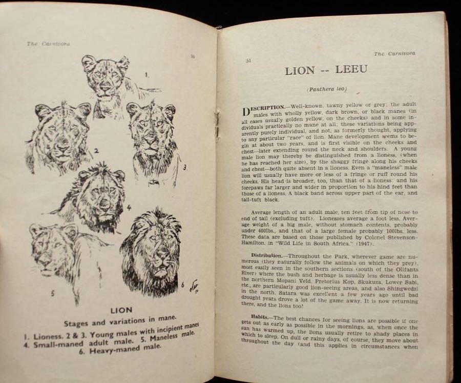 ANIMALS OF KRUGER NATIONAL PARK - C.T. ASTLEY MABERLY (1951)