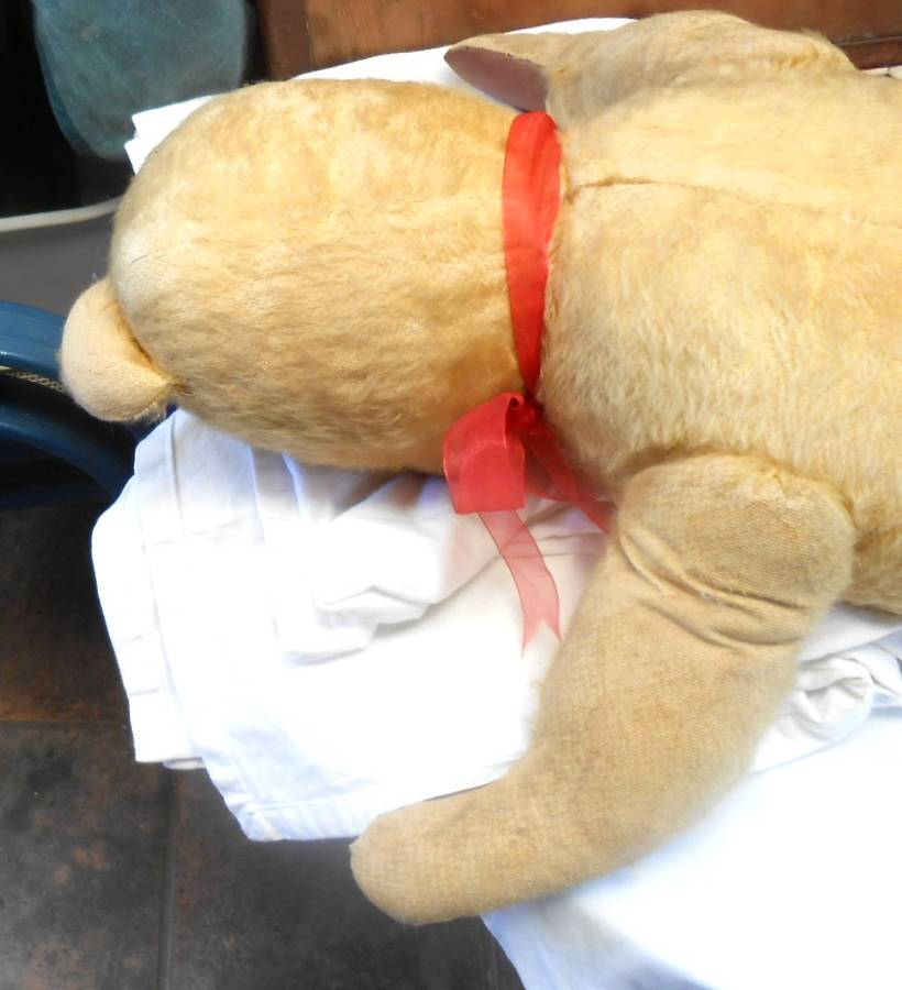 HUGE MOHAIR VINTAGE ARK TEDDY BEAR-GROWLER-RED BOW & REXINE PAWS MADE IN DURBAN IN 1950'S