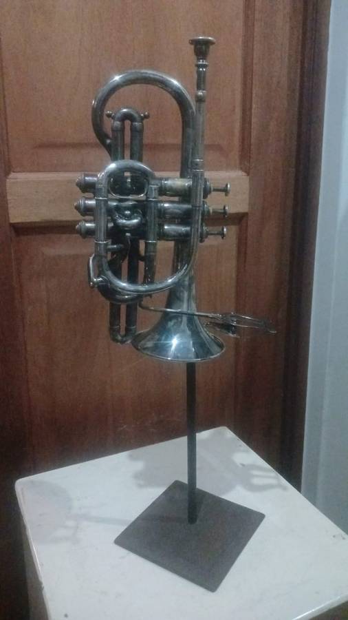 Cornet