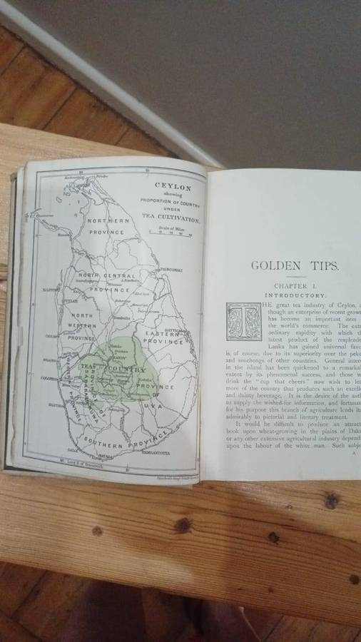 Golden tips: A description of Ceylon and its great tea industry (1900)