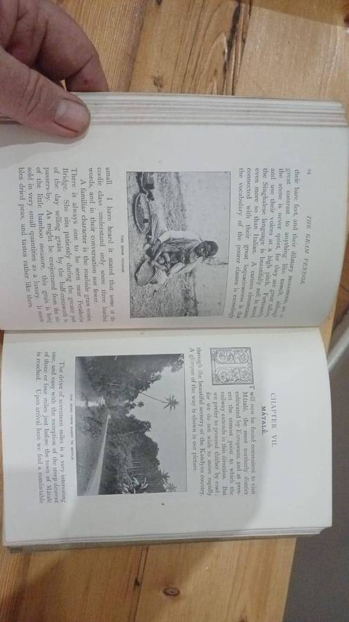 Golden tips: A description of Ceylon and its great tea industry (1900)