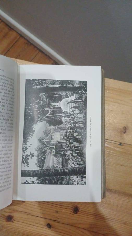 Golden tips: A description of Ceylon and its great tea industry (1900)
