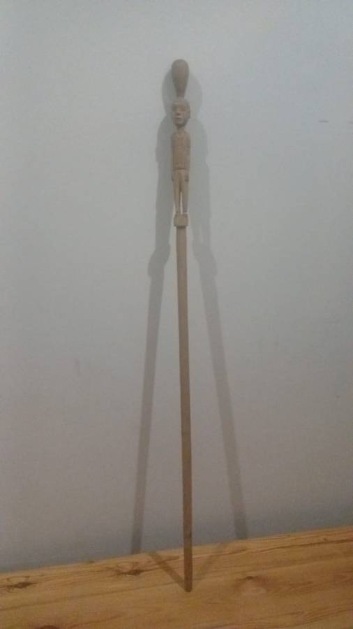 African Walking Stick