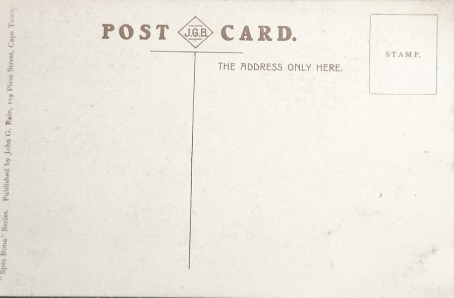 Vintage Post Card - Bronze lion - Groote Schuur