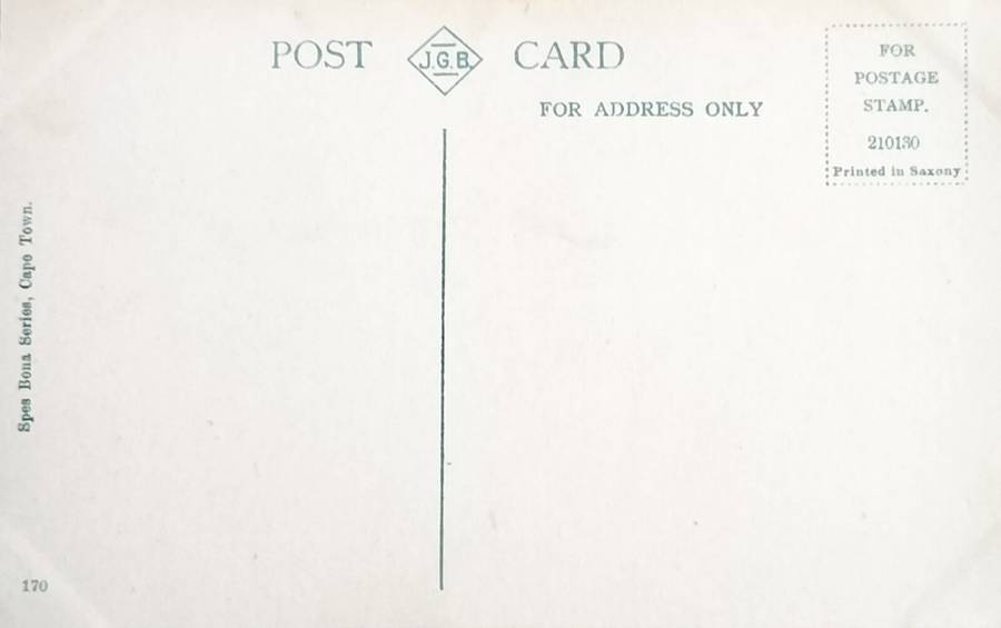 Vintage Post Card - Rhodes Memorial - Bronze Lion - Cape Town