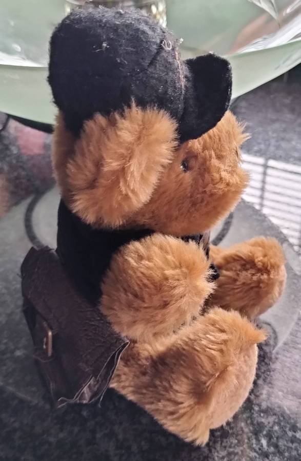 The Teddy Bear Collection - Royal Mail deliverer