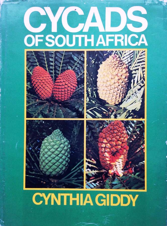 Cycads of South Africa - Cynthia Giddy - Hardcover