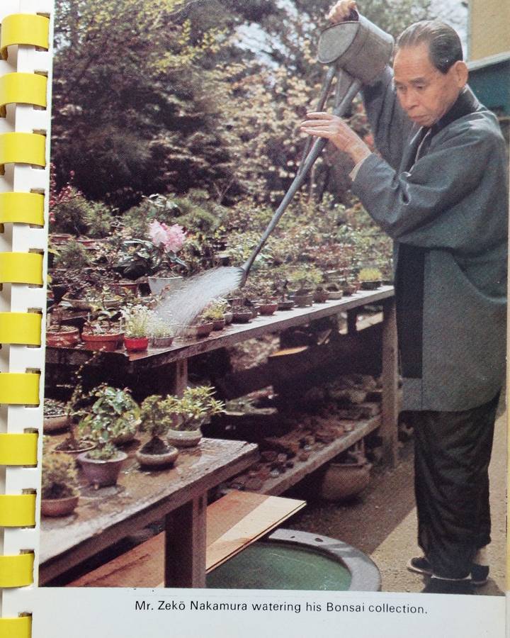 Miniature Bonsai Book-Bonsai Miniatures-Zeko Nakamura-Shufunotomo Co Ltd, Tokyo, Japan