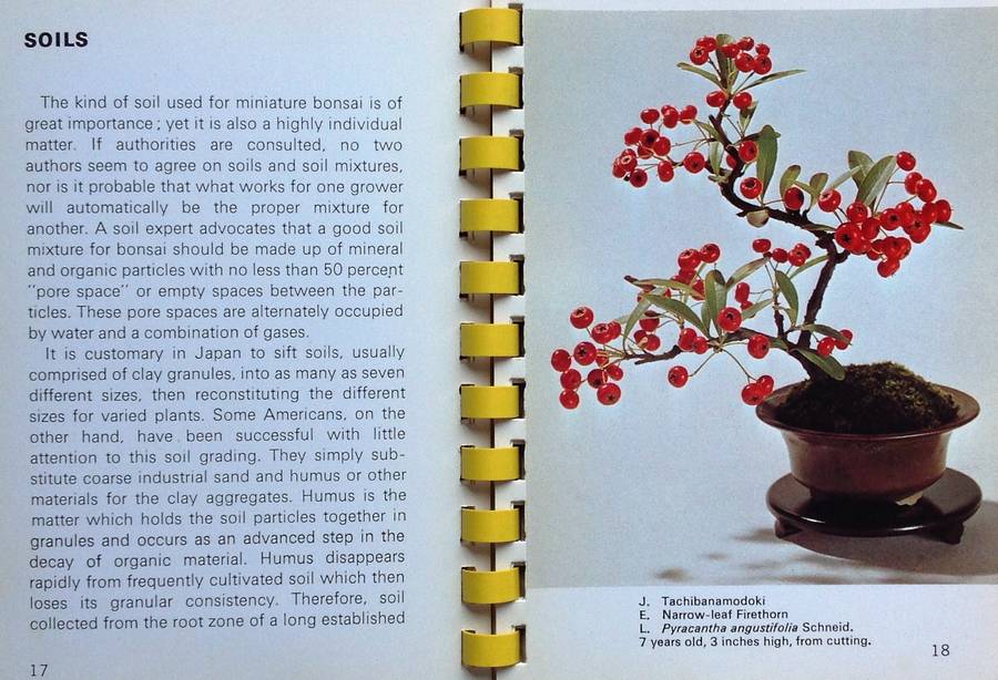 Miniature Bonsai Book-Bonsai Miniatures-Zeko Nakamura-Shufunotomo Co Ltd, Tokyo, Japan