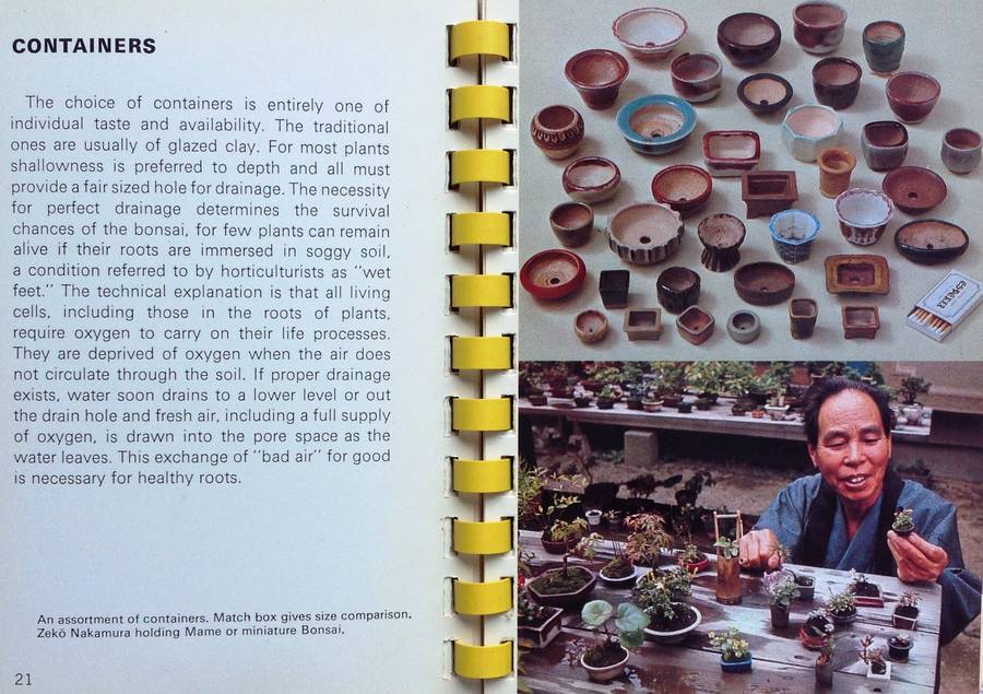 Miniature Bonsai Book-Bonsai Miniatures-Zeko Nakamura-Shufunotomo Co Ltd, Tokyo, Japan