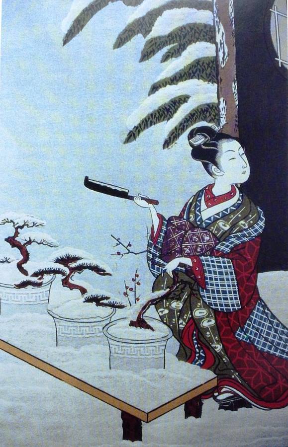 Practical Bonsai - their care, cultivation and training - Paul Lesniewicz and Hideo Kato