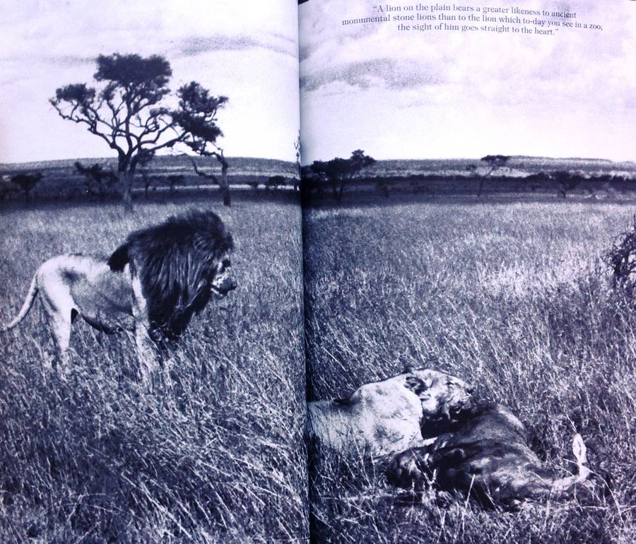Longing for Darkness - Kamante's tales from Out of Africa - Collected by Peter Beard