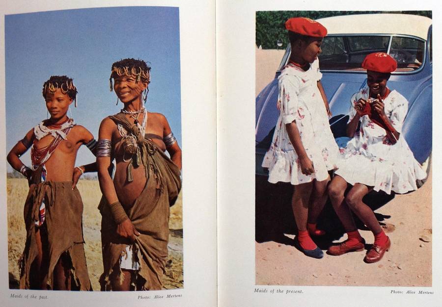 The Sacred Trust - South West Africa - Alexander Steward - Hardcover
