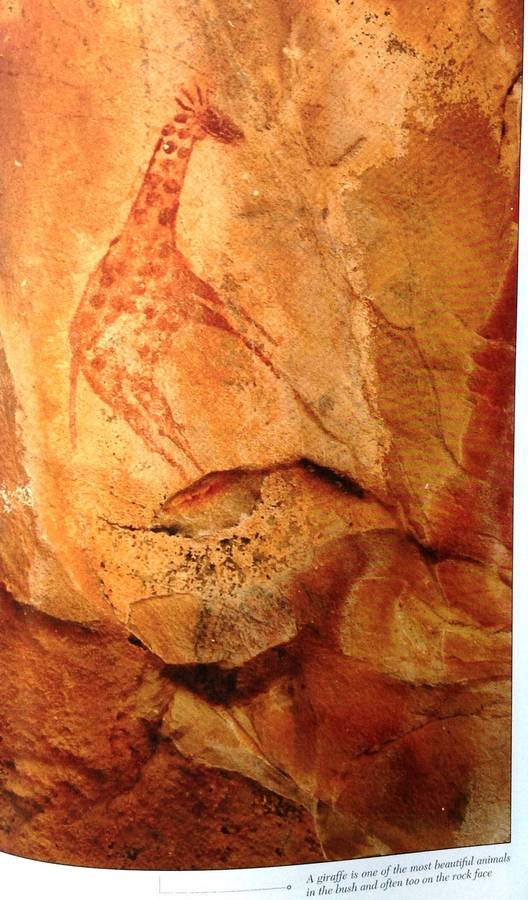 Bushman Rock Art - Forrsman and Gutteridge