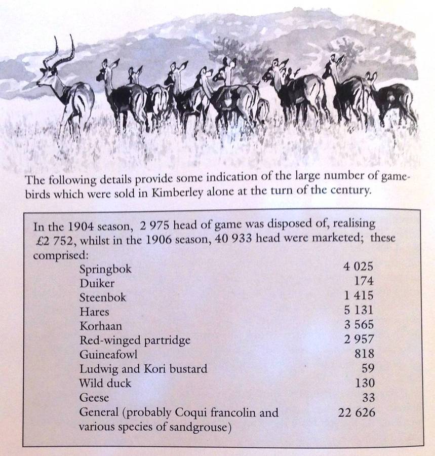 The Sport of Shooting in Southern Africa - Aubrey Wynne-Jones - Hardcover - signed by Author