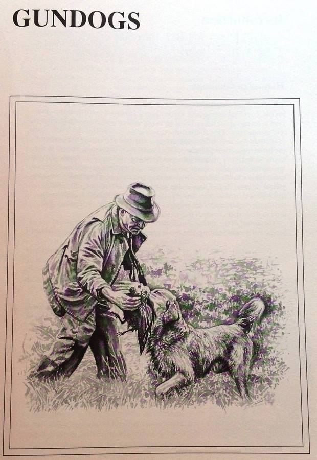 The Sport of Shooting in Southern Africa - Aubrey Wynne-Jones - Hardcover - signed by Author