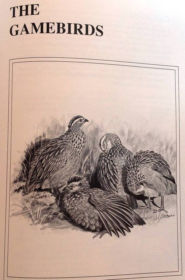 The Sport of Shooting in Southern Africa - Aubrey Wynne-Jones - Hardcover - signed by Author