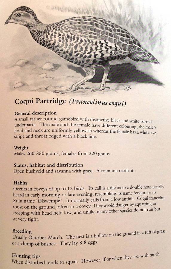 The Sport of Shooting in Southern Africa - Aubrey Wynne-Jones - Hardcover - signed by Author