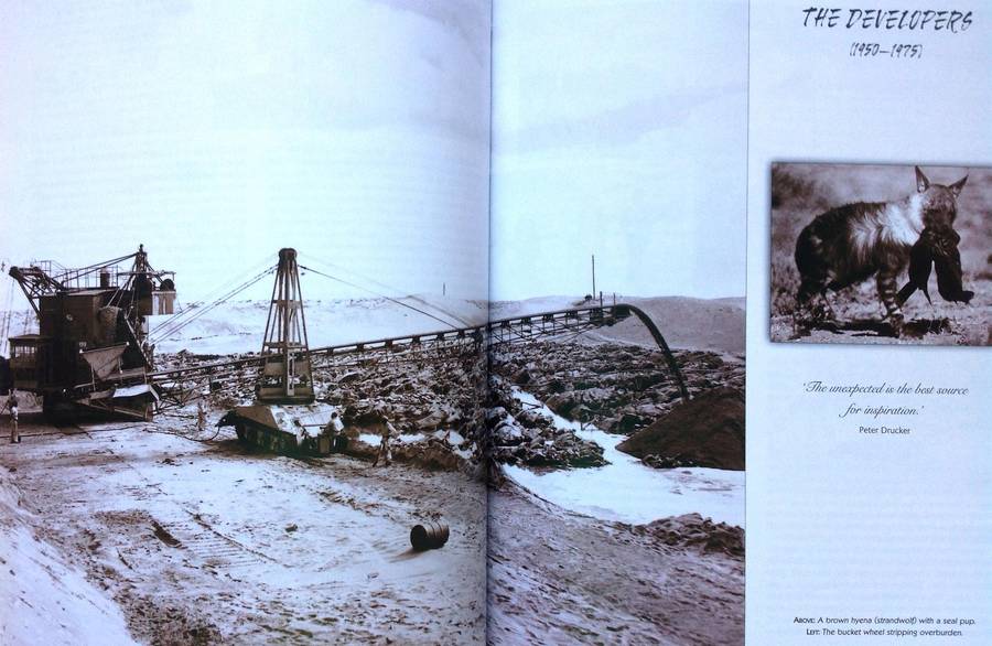 Diamond Beaches - A History of Oranjemund - Ali Corbett