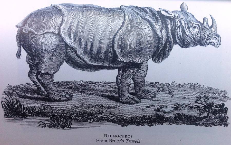 African Discovery - An Anthology of Exploration - Margery Perham and J Simmons