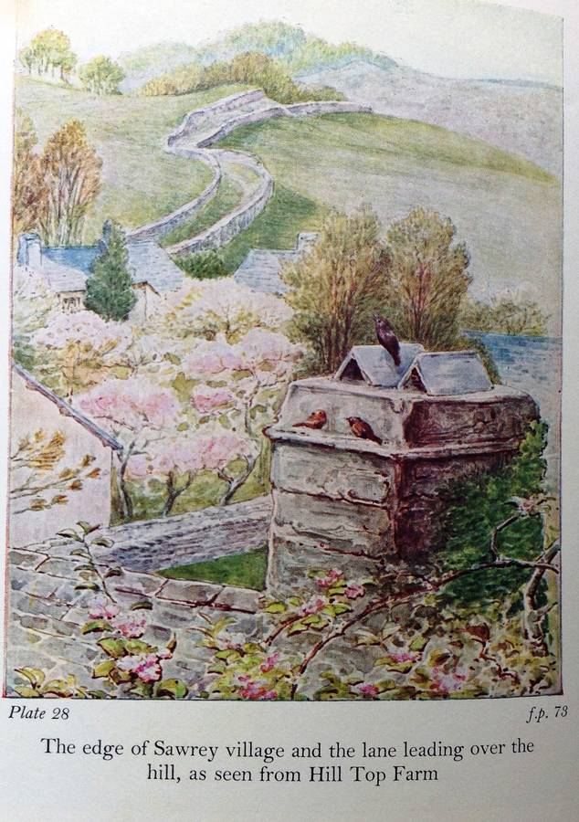 The Tale of Beatrix Potter - A Biography - Margaret Lane - Hardcover