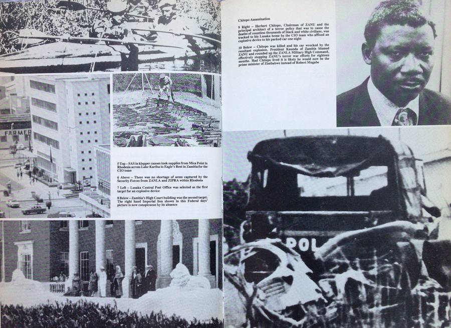 See You In November - Peter Stiff - Hardcover