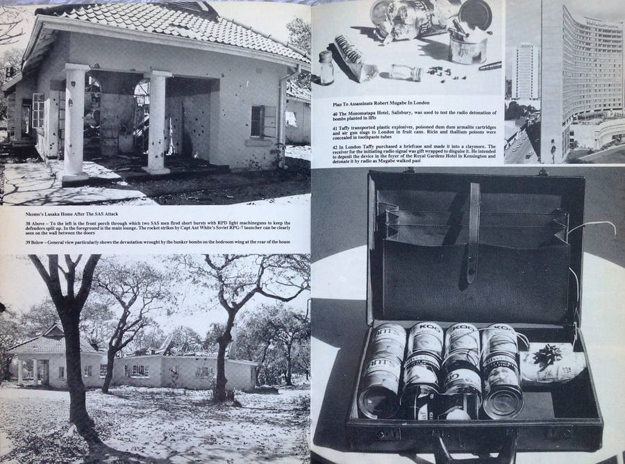 See You In November - Peter Stiff - Hardcover