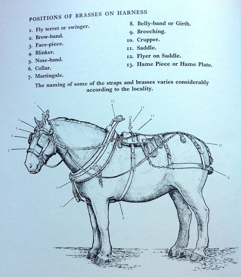 Horse Brasses - George Hartfield - Hardcover