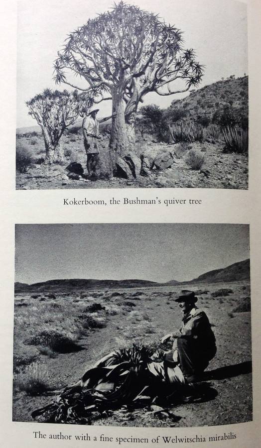 Lords of the Last Frontier - Lawrence G Green - Hardcover - The Story of South-West Africa
