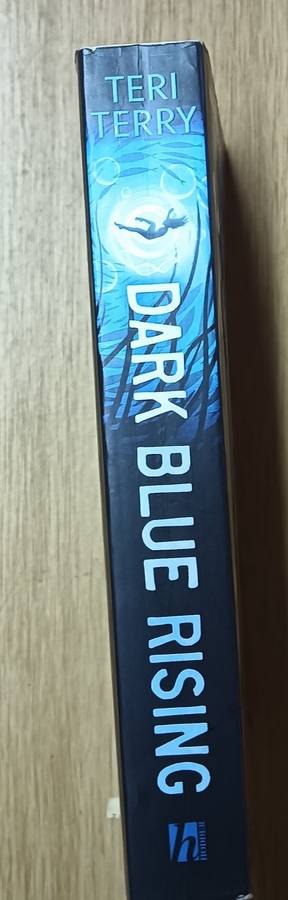 Dark Blue Rising - Teri Terry - Softcover - 390 pages