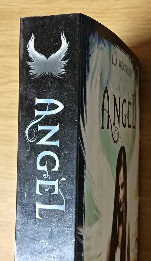 Angel - L.A. Weatherly - Softcover - 507 Pages