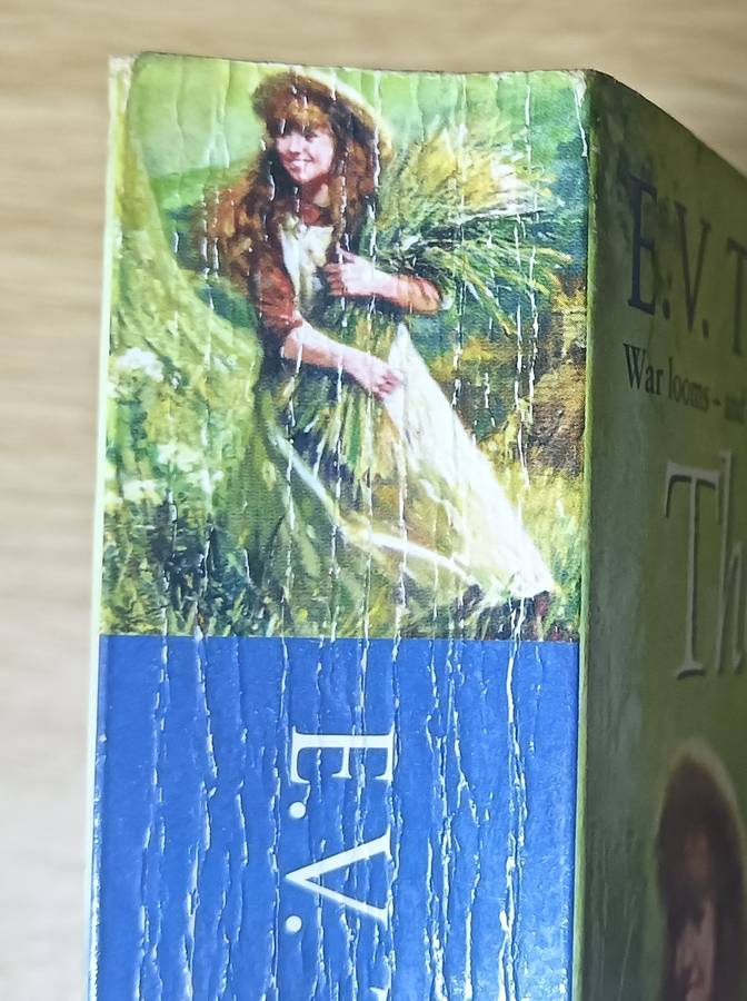 The Lost Years - E.V. Thompson - Softcover - 504 Pages