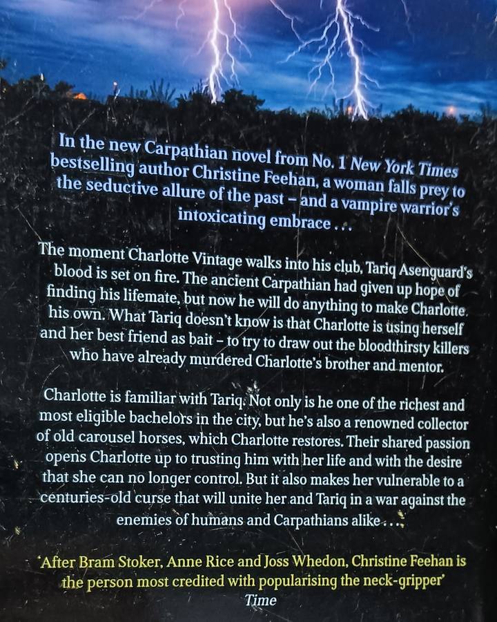 Dark Carousel - Christine Feehan - Softcover - 460 pages
