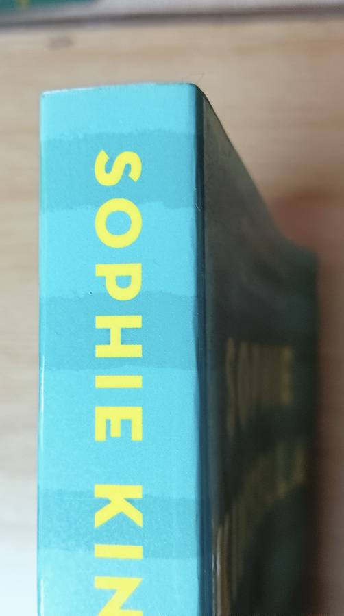 Finding Audrey - Sophie Kinsella - Softcover - 280 Pages