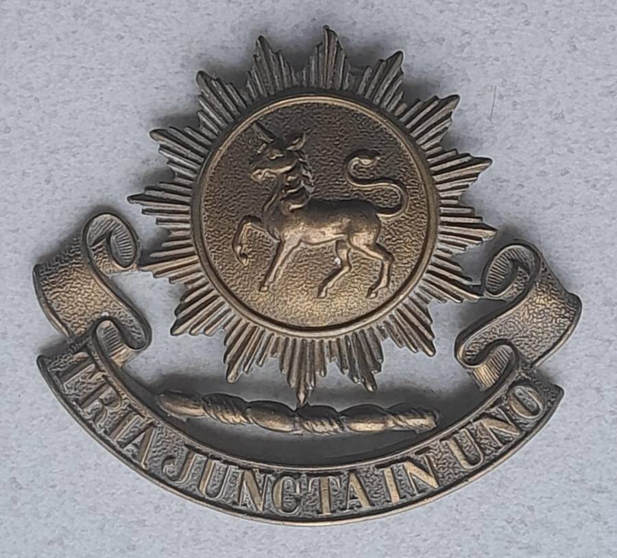 GREY HIGH SCHOOL CADET CORPS CAP BADGE