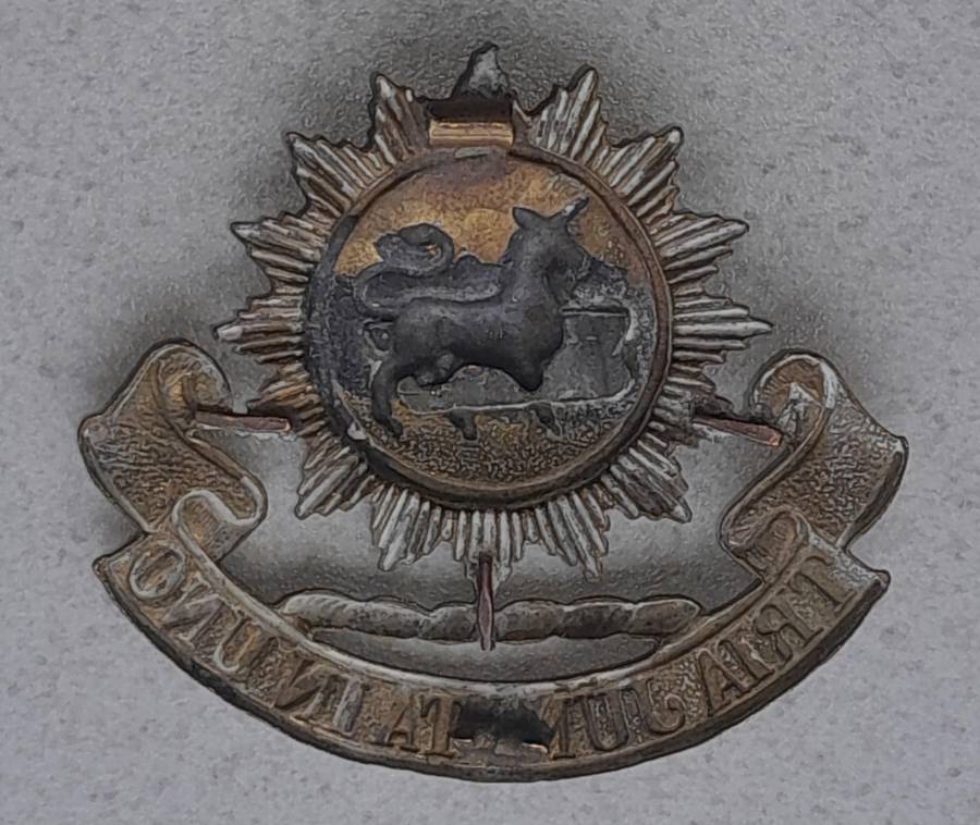 GREY HIGH SCHOOL CADET CORPS CAP BADGE