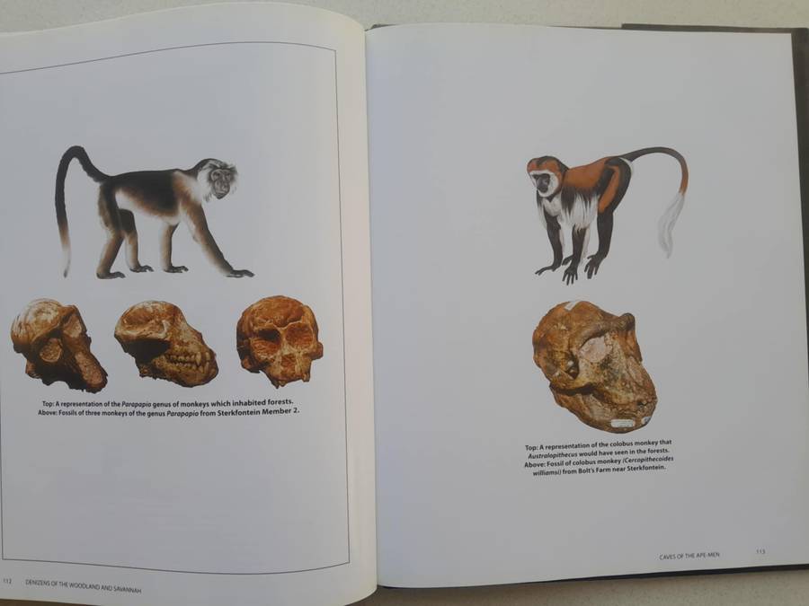 CAVES OF THE APE-MEN