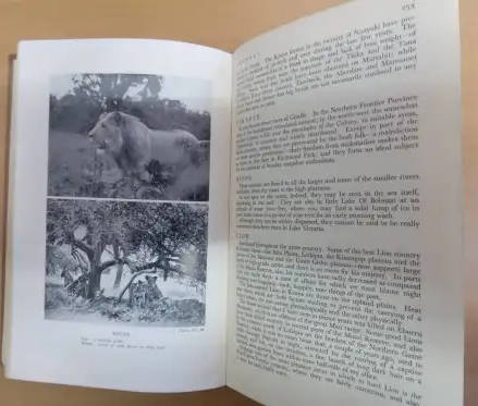 BIG GAME SHOOTING IN AFRICA