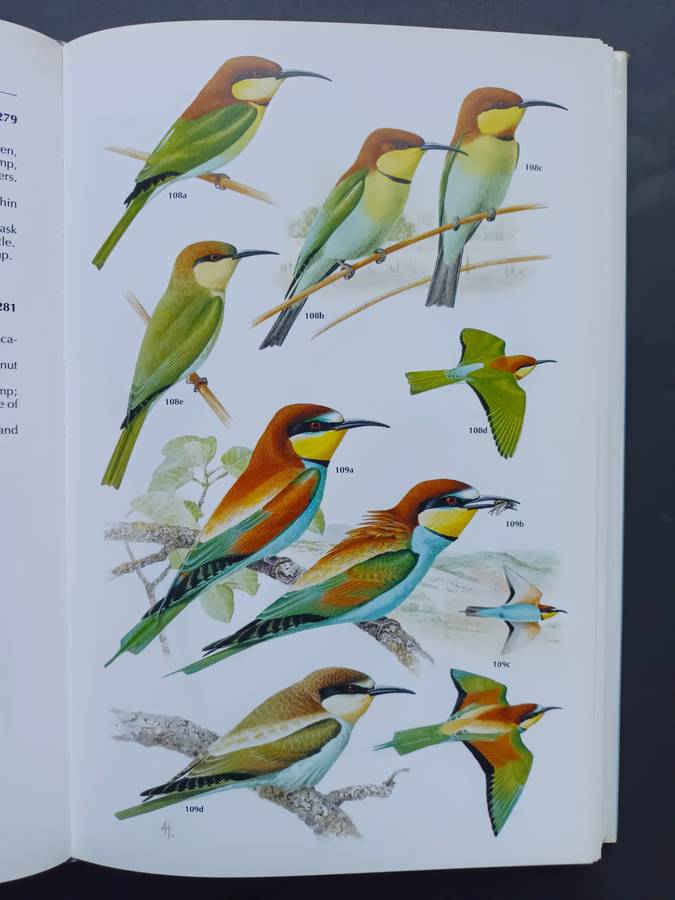 Kingfishers, Bee-eaters and Rollers / Fry, C. Hilary & Fry, Kathie