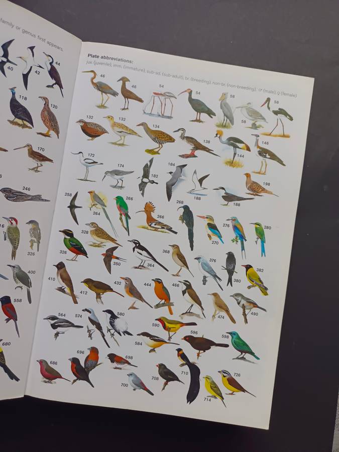A Comprehensive Illustrated Field Guide Birds of of Africa South of the Sahara by Sinclair, I., Ryan