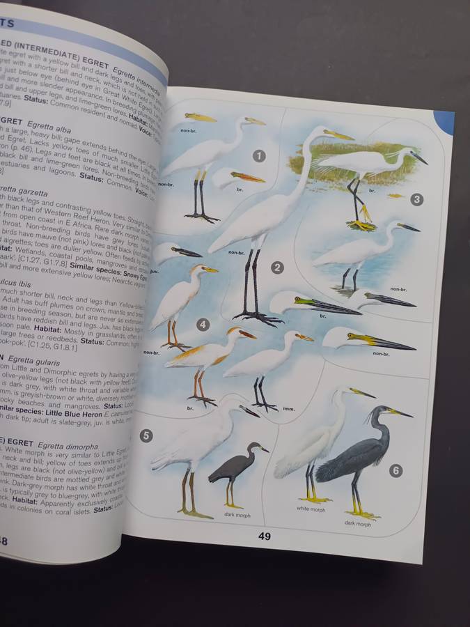 A Comprehensive Illustrated Field Guide Birds of of Africa South of the Sahara by Sinclair, I., Ryan
