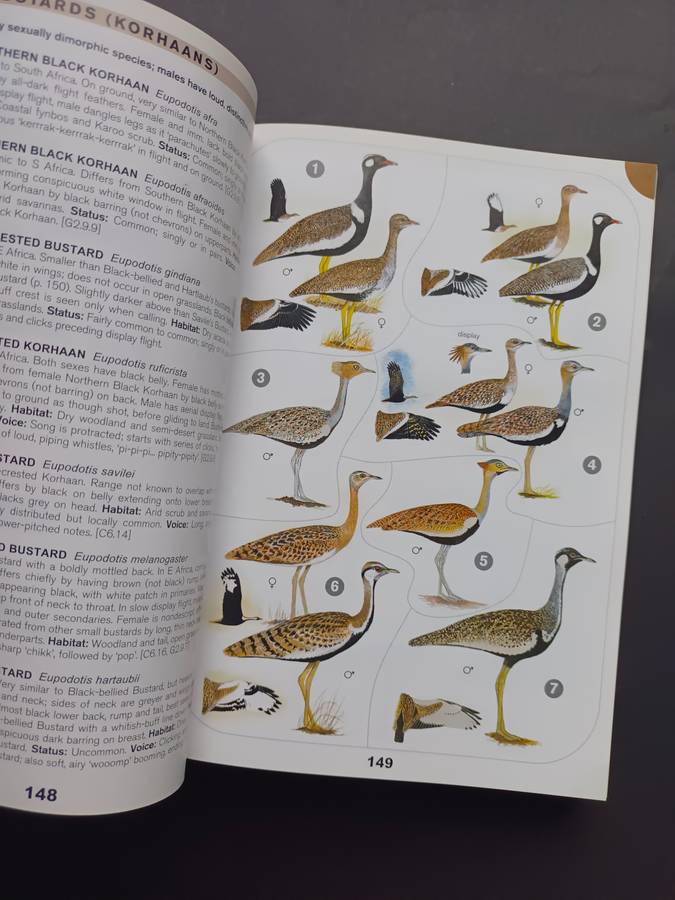 A Comprehensive Illustrated Field Guide Birds of of Africa South of the Sahara by Sinclair, I., Ryan