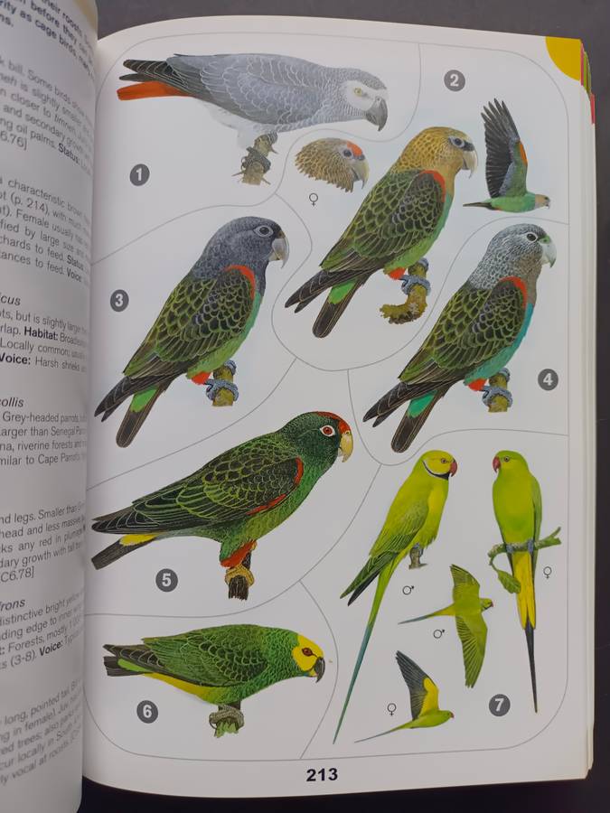 A Comprehensive Illustrated Field Guide Birds of of Africa South of the Sahara by Sinclair, I., Ryan
