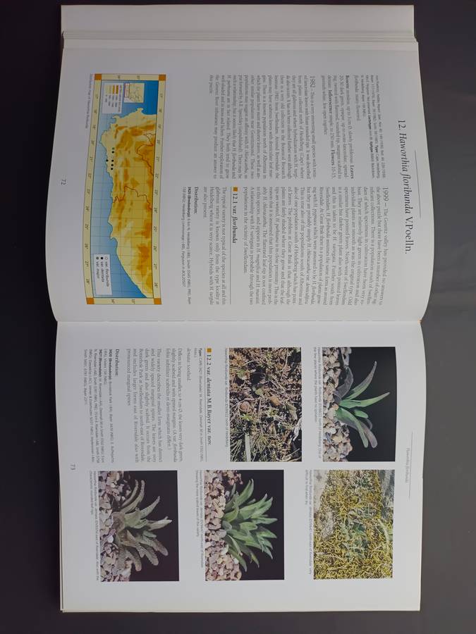 Haworthia Revised: A Revision of the Genus / Bruce Bayer