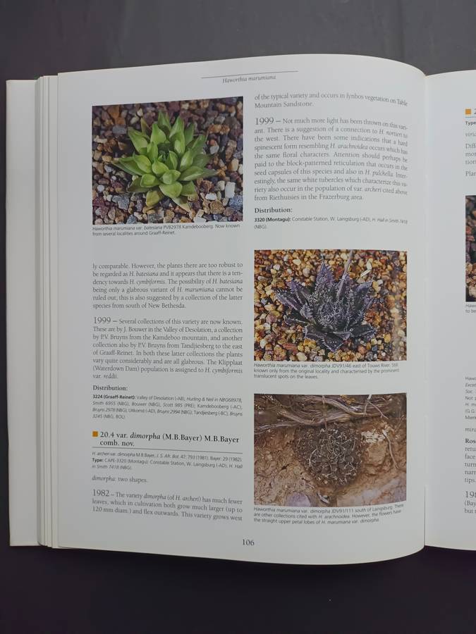 Haworthia Revised: A Revision of the Genus / Bruce Bayer