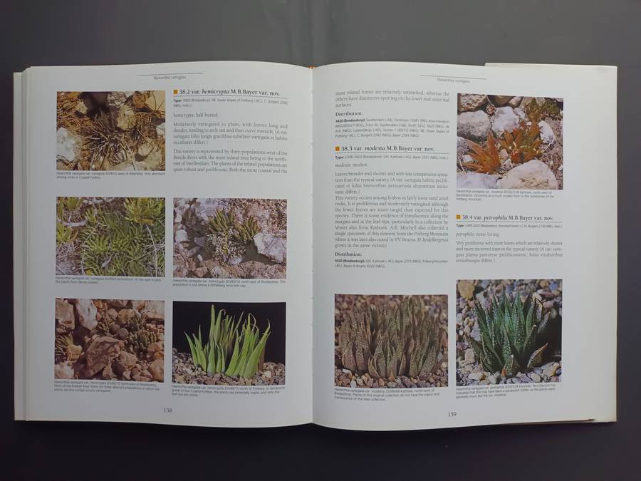 Haworthia Revised: A Revision of the Genus / Bruce Bayer