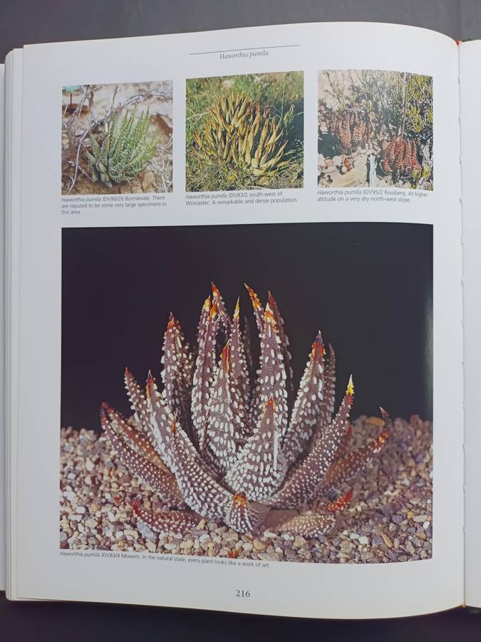 Haworthia Revised: A Revision of the Genus / Bruce Bayer