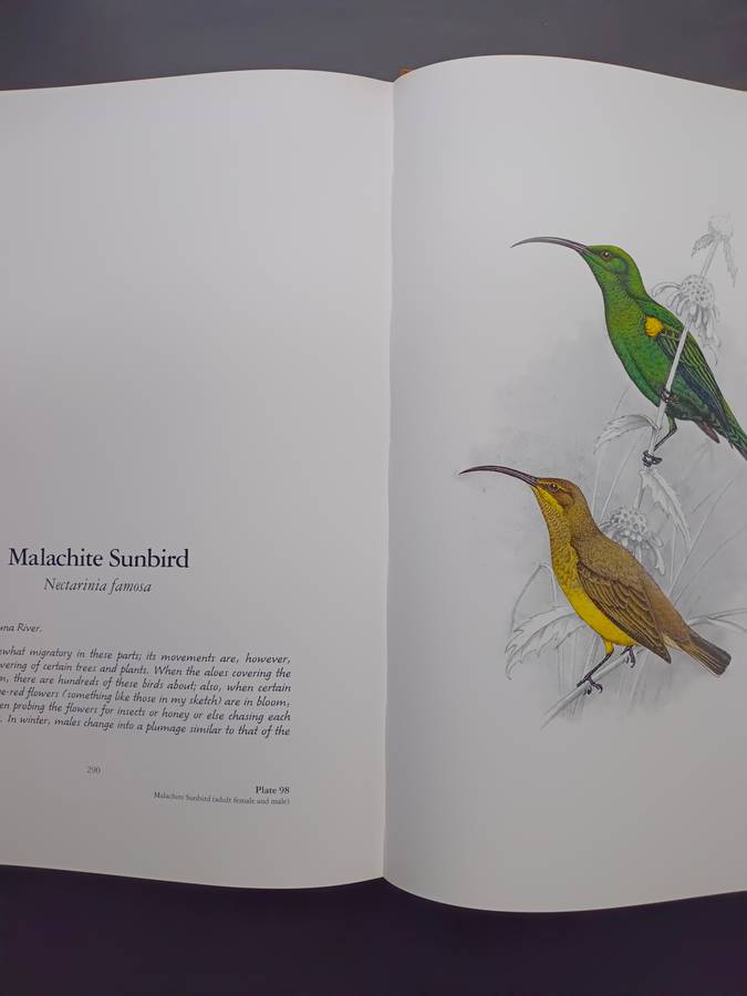 The Bird Paintings of C.G. Finch-Davies : Southern Africa's finest bird artist